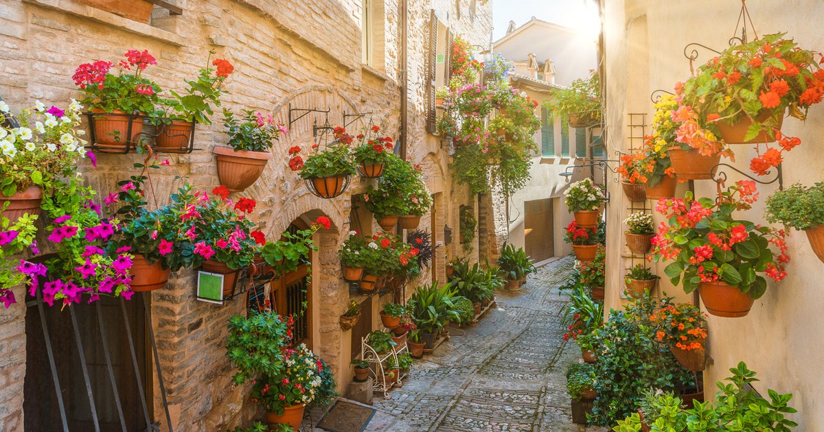 What to do in Spello: the city of the Flowers